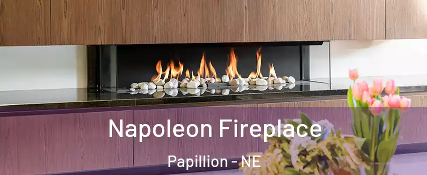  Napoleon Fireplace Papillion - NE