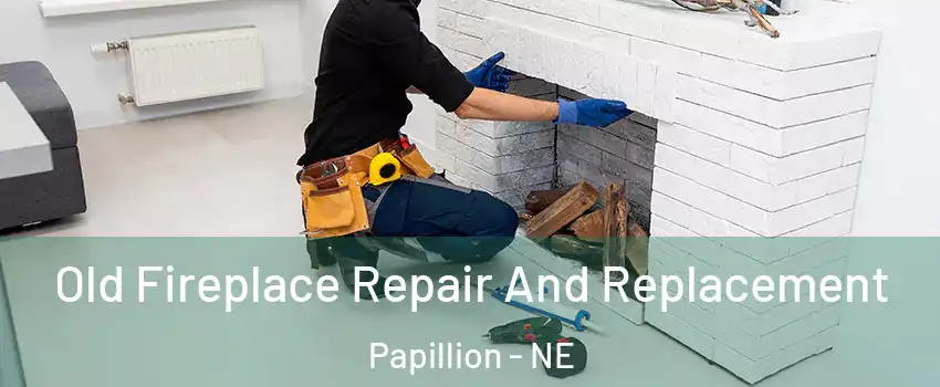  Old Fireplace Repair And Replacement Papillion - NE