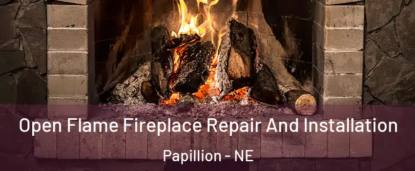  Open Flame Fireplace Repair And Installation Papillion - NE
