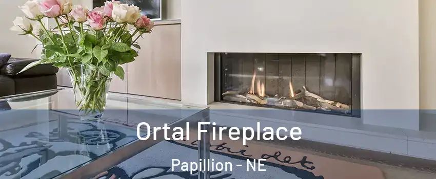  Ortal Fireplace Papillion - NE