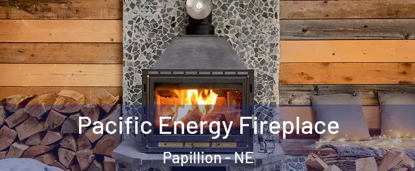  Pacific Energy Fireplace Papillion - NE