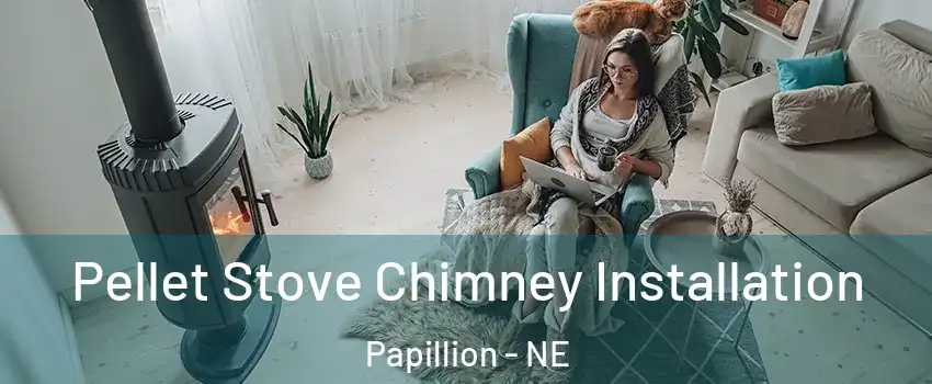  Pellet Stove Chimney Installation Papillion - NE