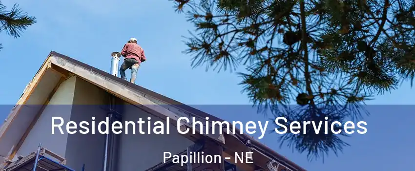  Residential Chimney Services Papillion - NE