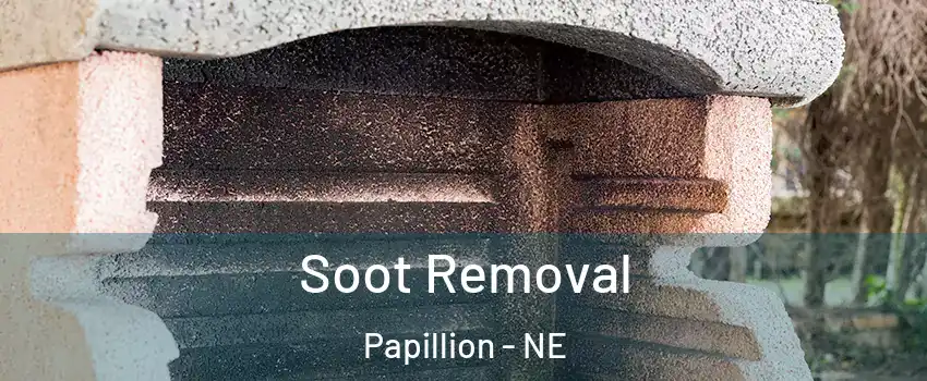  Soot Removal Papillion - NE