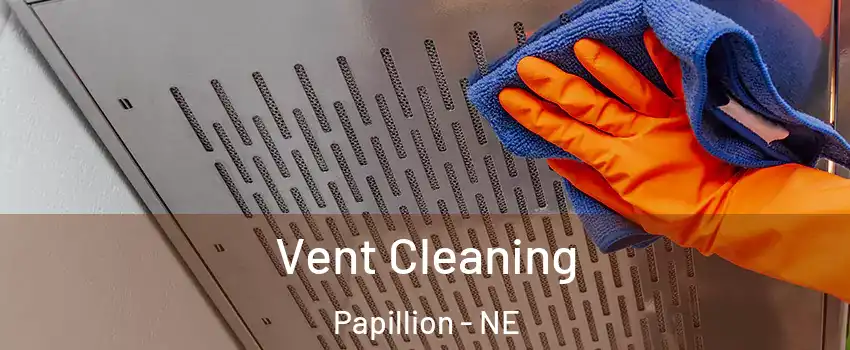  Vent Cleaning Papillion - NE