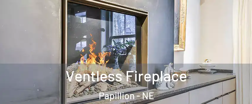  Ventless Fireplace Papillion - NE