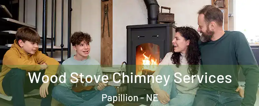  Wood Stove Chimney Services Papillion - NE