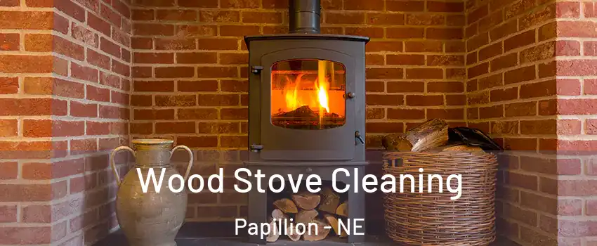  Wood Stove Cleaning Papillion - NE